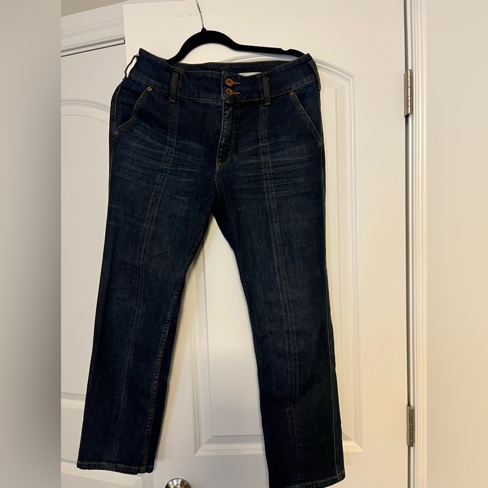 Pilcro and the Letterpress Dark Indigo Straight Leg Jeans- Ankle length